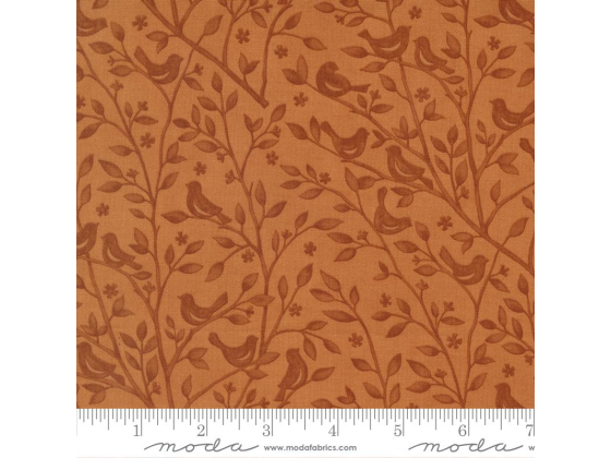 Family Tree Ginger 56161 21