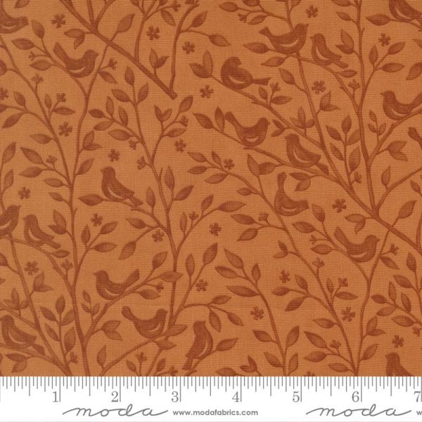 Family Tree Ginger 56161 21