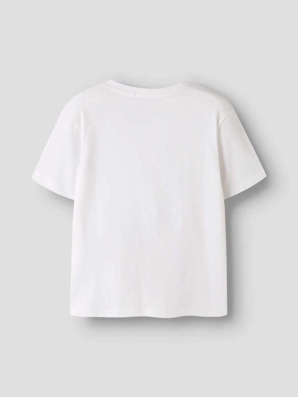NMMJAVOL SS NREG TOP - Image 2