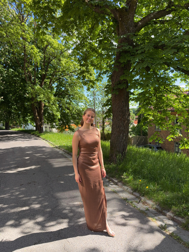 Shiny Sleeveless Dress - Brown  - Image 1
