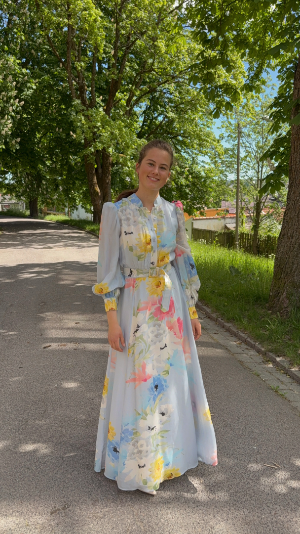 Organza Belt Dress - Blue Meadow  - Image 2