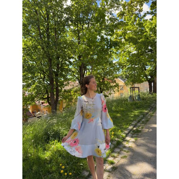 Organza Mini Dress - Blue Meadow 