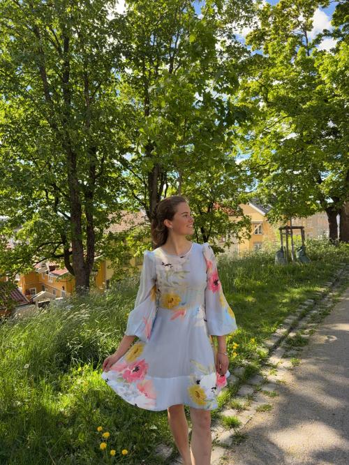 Organza Mini Dress - Blue Meadow 