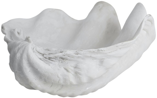 Shell Dekor - Small - Image 1