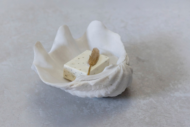 Shell Dekor - Small - Image 3