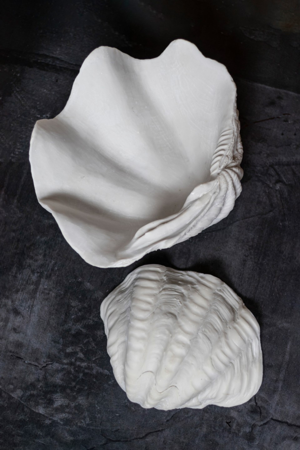 Shell Dekor - Small - Image 4