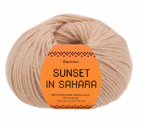 Sunset in Sahara - 307 - Conch Shell - Image 1