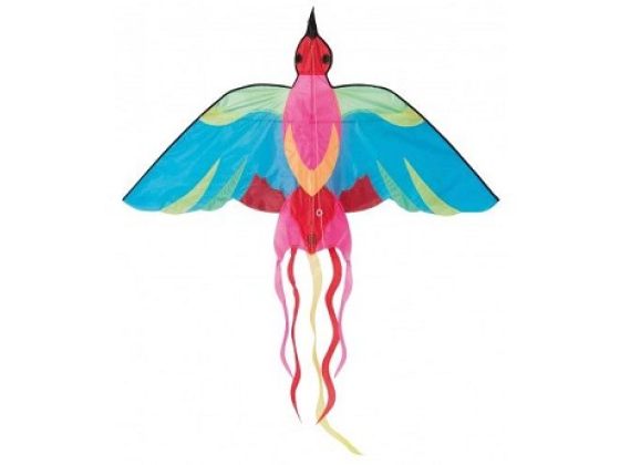 Drage - Bird