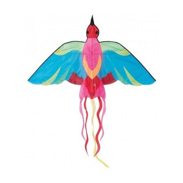 Drage - Bird
