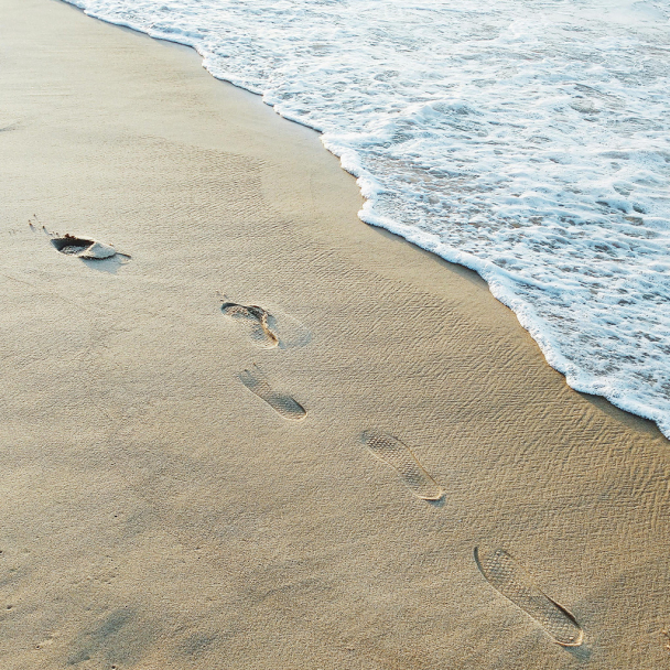 Duftlys Shoreline - Image 3