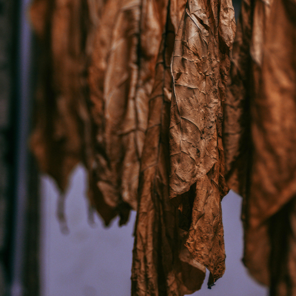 Duftlys Tobacco - Image 3