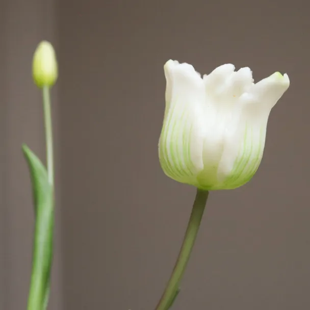 Hvit Tulipanbukett - Image 2