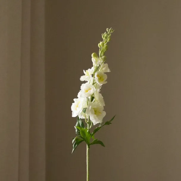 Hvit Riddersporeblomst - Image 3