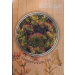 Sempervivum &lsquo;Cay&rsquo;