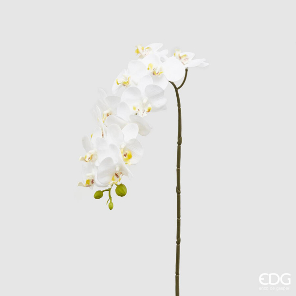 Orkidé - White