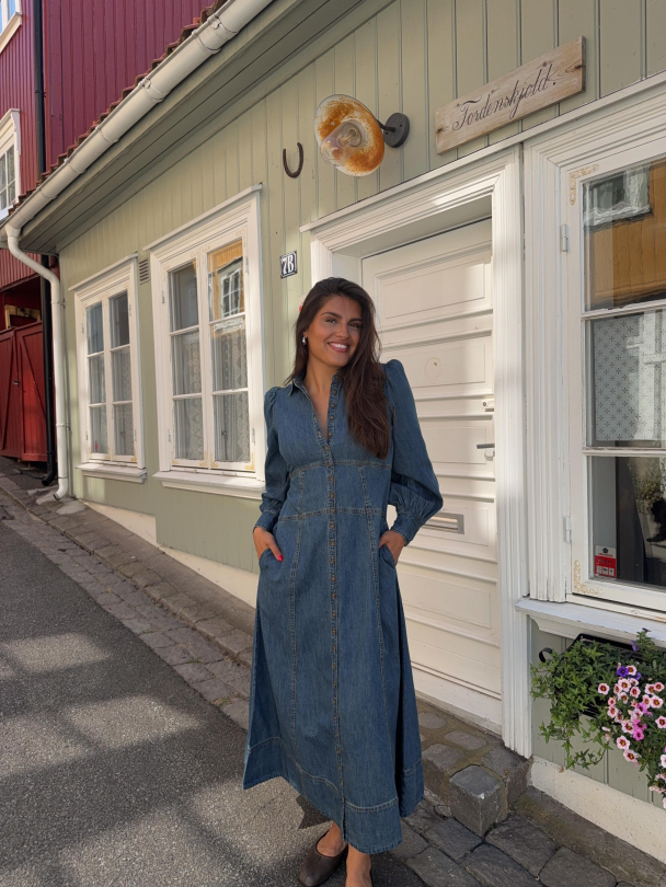 Denim Button Down Dress - French Blue - Image 7