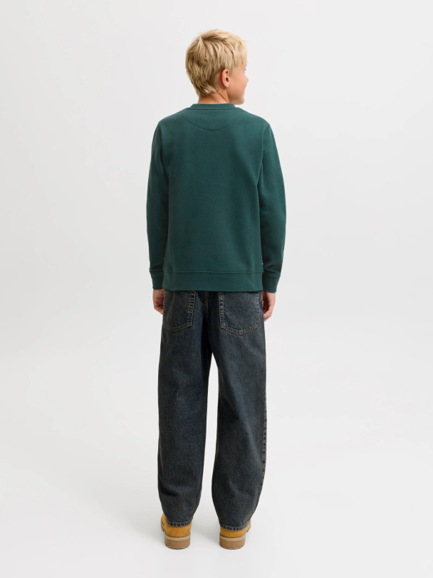 JJESOHO SWEAT CREW NECK SN JNR - Image 5