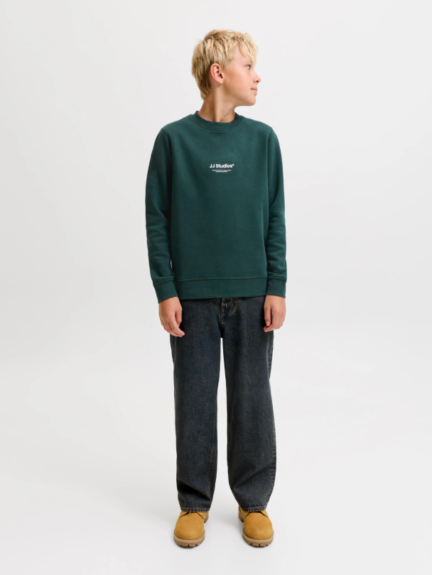 JJESOHO SWEAT CREW NECK SN JNR - Image 4