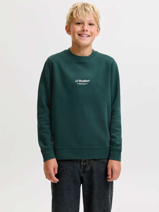 JJESOHO SWEAT CREW NECK SN JNR - Image 2