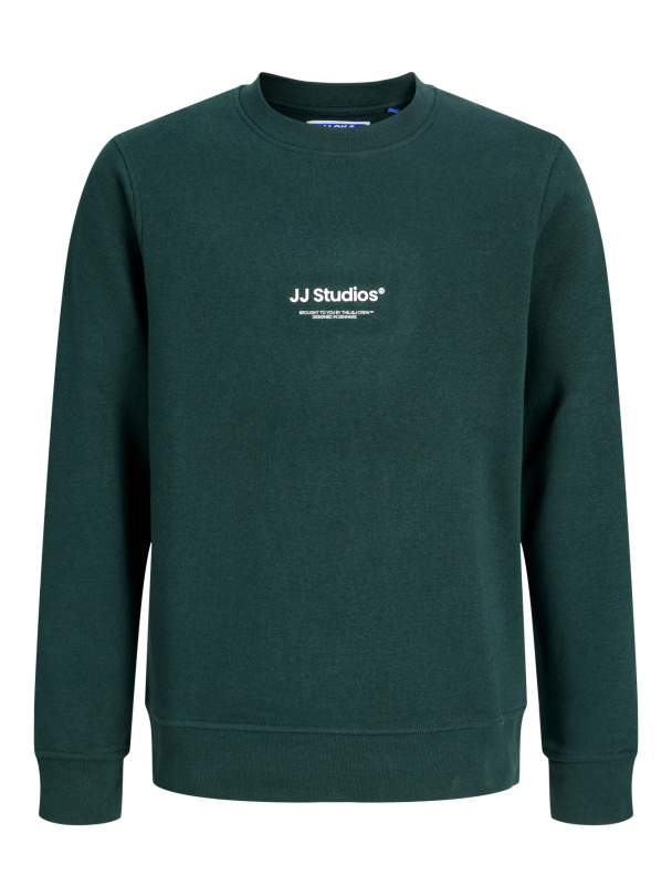 JJESOHO SWEAT CREW NECK SN JNR - Image 1