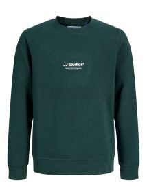 F_12279112_M_5036596_Front.jpg