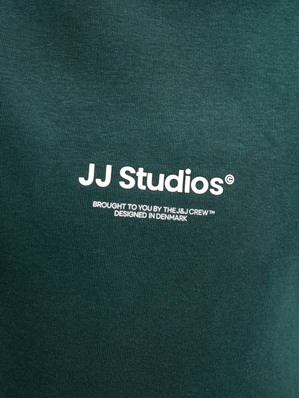 JJESOHO SWEAT CREW NECK SN JNR - Image 6