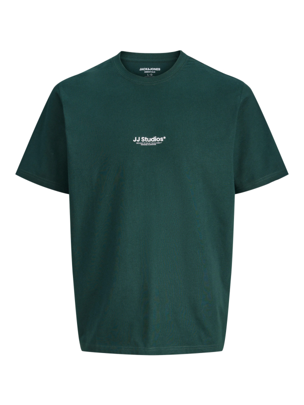 JJESOHO TEE SS CREW NECK NOOS JNR - Image 1