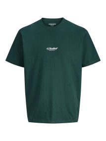 F_12279577_M_5036144_Front.jpg