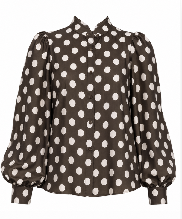 Striped Organza Blouse - Dots - Image 1