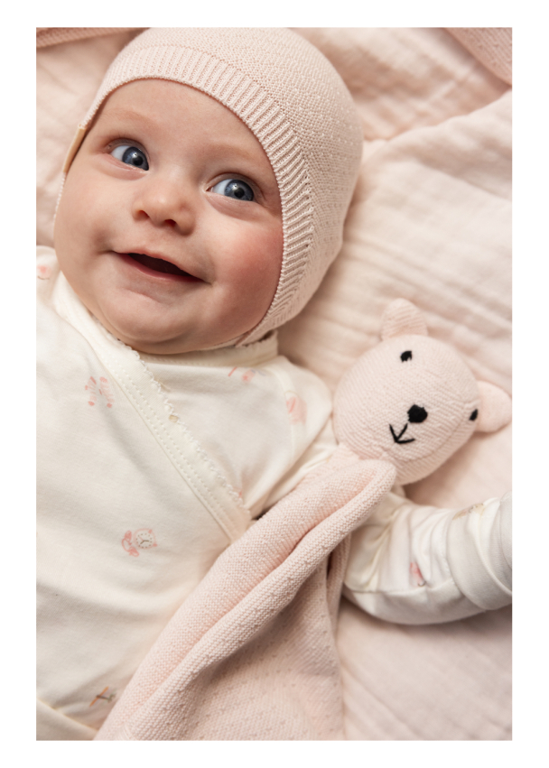 Teddy Koseklut - Rosa - Image 4