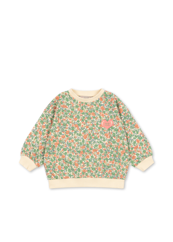 Loupy Print Sweat Shirt - Carlie Verde - Image 1