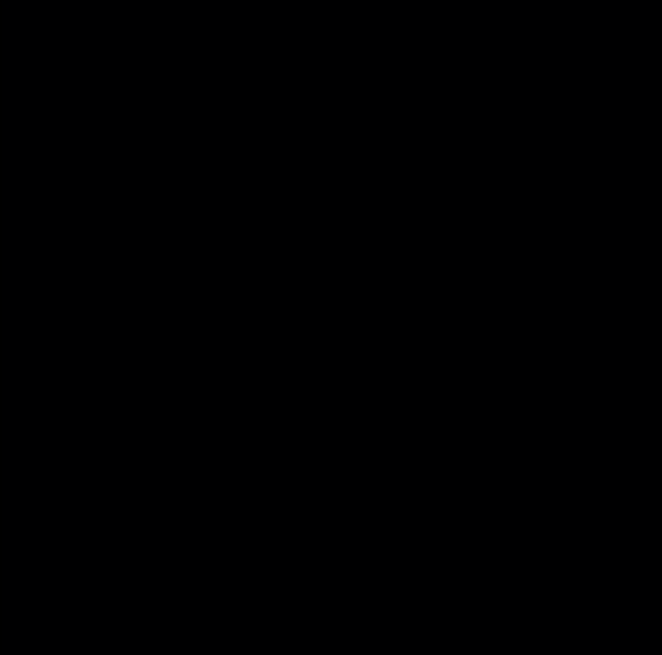 NOEN Skjørt 85797 - Image 2