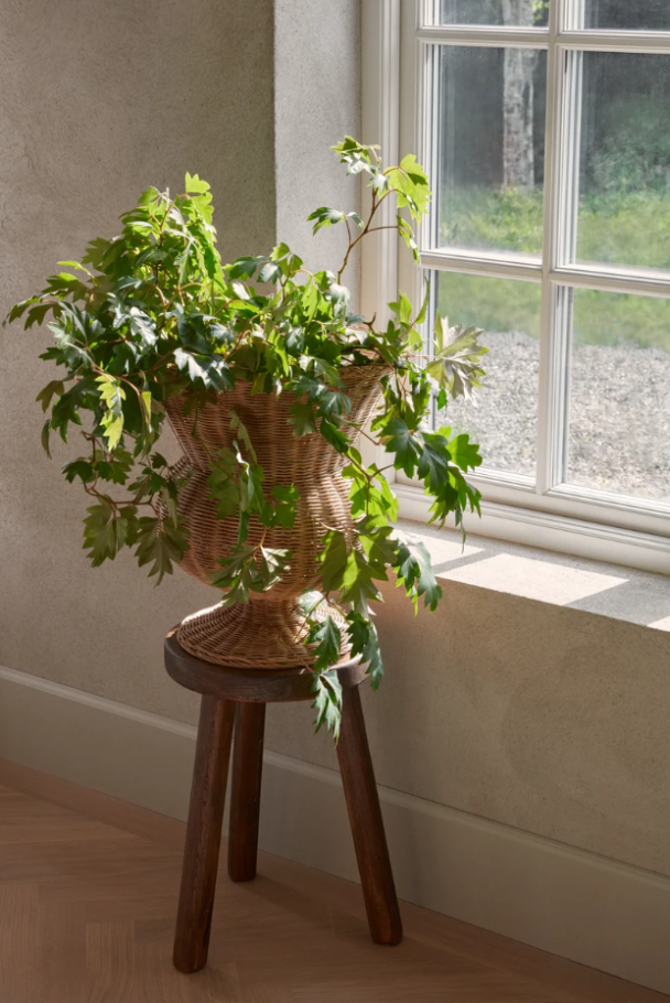 The Palace Urn - Image 2