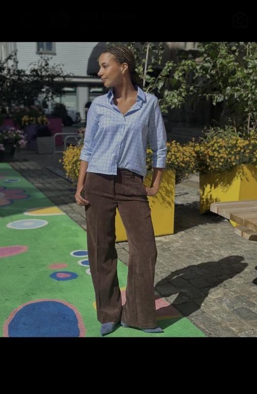 Wilma Light Blue/Brown Checks Shirt fra Hazel