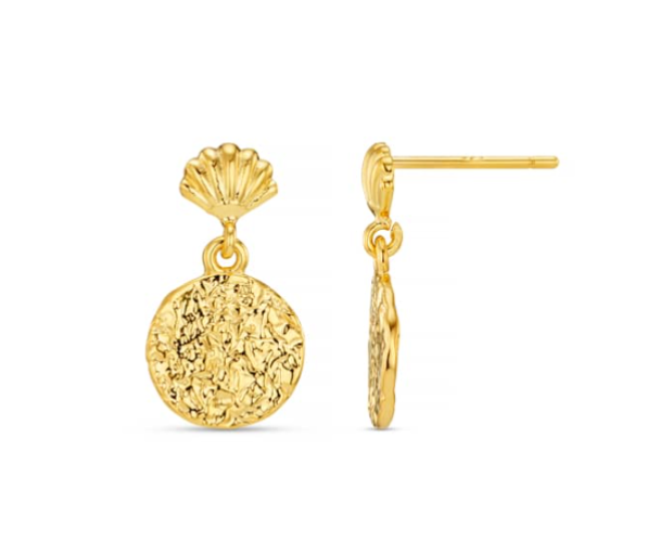 Mini Shell & Molten Coin Earrings - Image 1