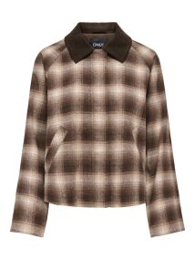 F_15373264_M_5009421_Front.jpg