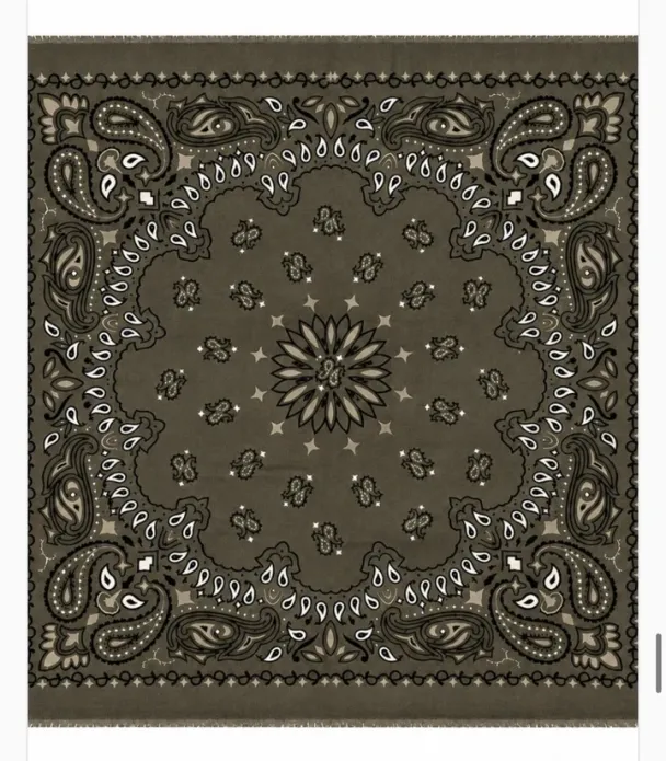 Large Paisley Scarf - Khaki  