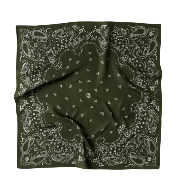 Paisley Scarf - Green 65cm