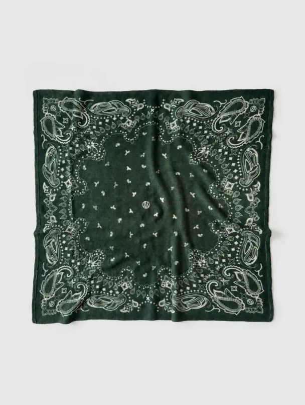 Cashmere Paisley Scarf - Green 65cm - Image 1