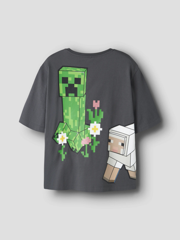 NKFSYSSI MINECRAFT SS NREG TOP BIO - Image 4