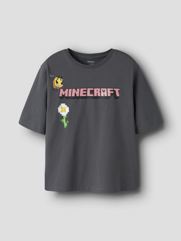 NKFSYSSI MINECRAFT SS NREG TOP BIO - Image 3