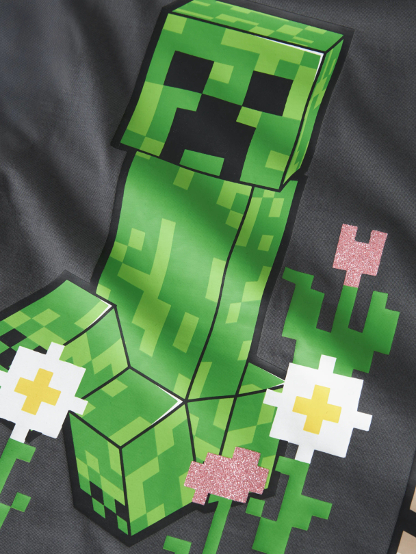 NKFSYSSI MINECRAFT SS NREG TOP BIO - Image 2