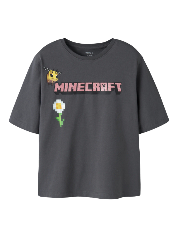 NKFSYSSI MINECRAFT SS NREG TOP BIO - Image 1