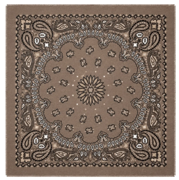 Paisley Skjerf - Brown 