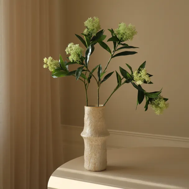 Lysegrønn Skimmia-gren med bær - Image 3