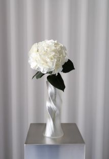 IMG_6893.jpeg