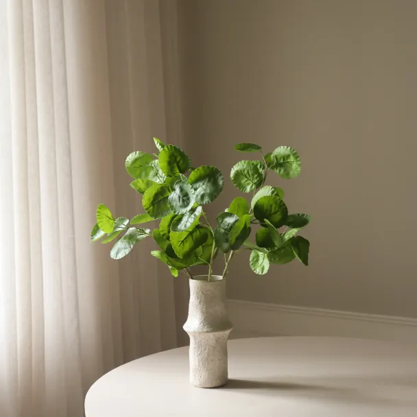 Grønne plomme Aralia blader - Image 4