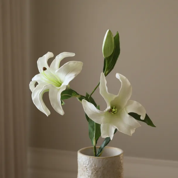 Hvit Liten Liljeblomst - Image 2