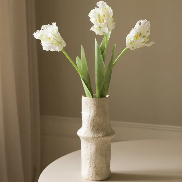 Hvit Papegøyetulipan - Image 3