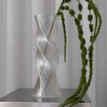 Amaranthus6Fork-DarkGreen3.jpg
